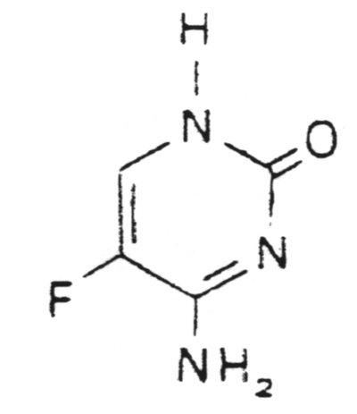 Pyrimidine 
      
  analogs